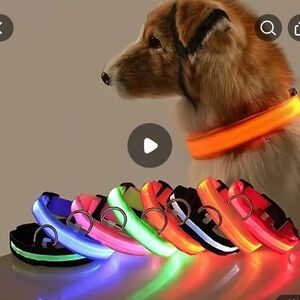 🆕LED Dog Collar - Multicolor